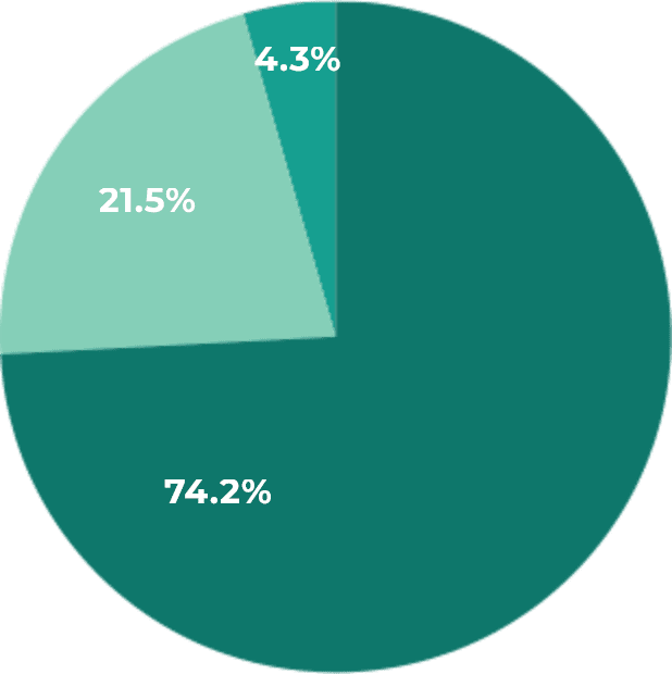 Revenue Pie-2x